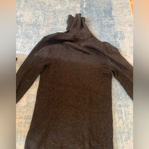 Express Sparkly Turtle Neck